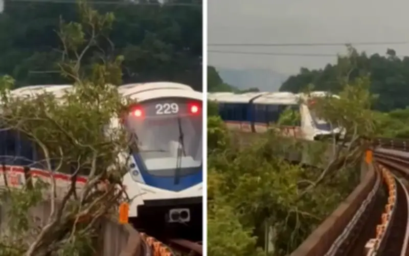 Perkhidmatan LRT Kelana Jaya Tergendala Selepas Dahan Pokok Jatuh di Landasan