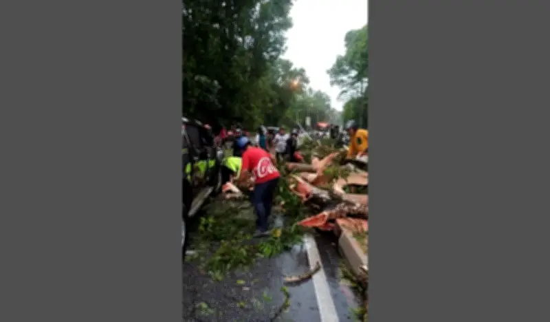 Pokok Tumbang Hempas Kenderaan Berhampiran FRIM, Pemandu Lolos Cedera