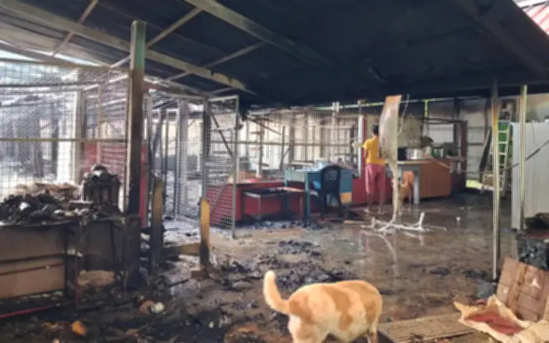 Pusat Perlindungan Haiwan Noah's Ark Ipoh Cari Dana Selepas Kebakaran Tragis
