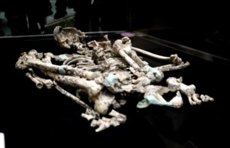 Rangka 'Perak Man' Kembali ke Lenggong, 'Perak Woman' Dijangka Seterusnya