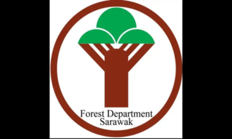 Sarawak Kurangkan Royalti Kayu Balak 50 Peratus untuk Sokong Industri