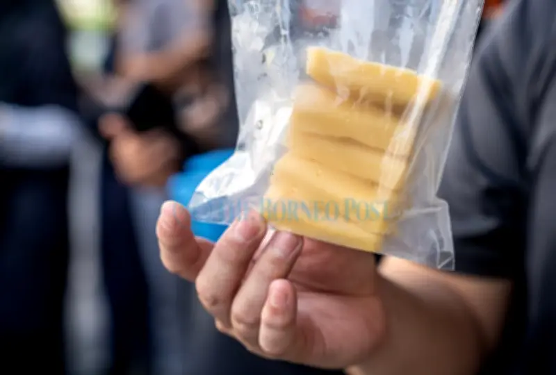 Sarawak Uji Vaksin Rabies Boleh Dimakan untuk Anjing Bebas Berkeliaran