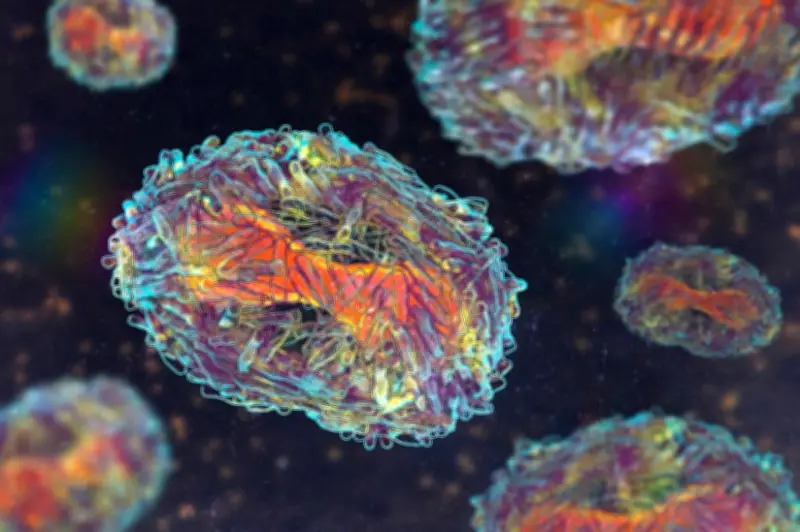 Singapura Sahkan Kes Mpox Tempatan Pertama, Risiko Awam Kekal Rendah