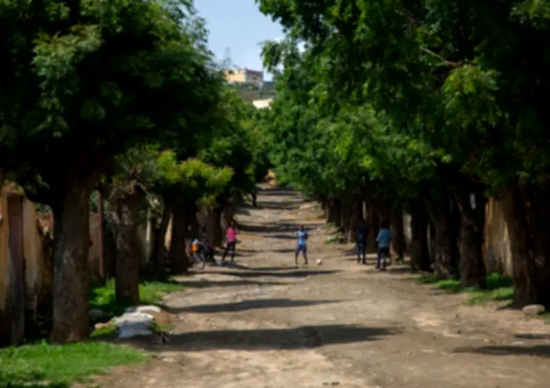 Tujuh Pemain Bola Sepak Eritrea Hilang dalam Perjalanan Pulang dari Kelayakan Piala Afrika