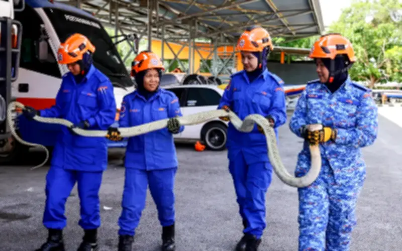 Wanita Pahlawan Terengganu: Menjawab Panggilan Kecemasan Haiwan Liar