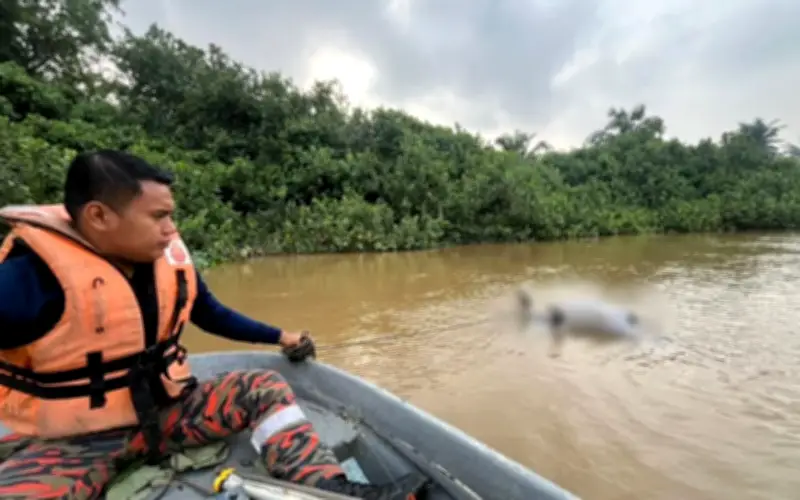 Warga Emas Berkerusi Roda Ditemui Mati Lemas Selepas Pergi Memancing di Kuala Selangor