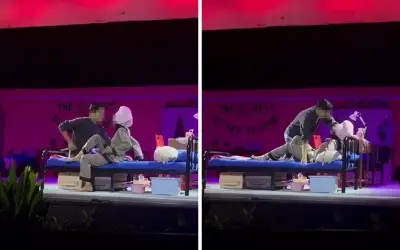 Adegan Pasangan dalam Drama UM Lebih kepada Kecuaian, Kata Ketua Pengarah Pendidikan Tinggi