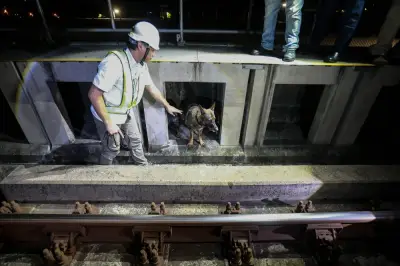 Anjing pengesan bantu cegah kecurian kabel MRT