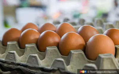 Bekalan Ayam dan Telur Mencukupi, tetapi Sayuran Kekurangan