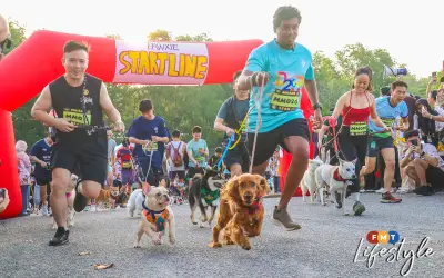 Dogathon 2026: Anjing-Anjing Bergembira di UPM dengan Perlumbaan dan Demonstrasi Polis