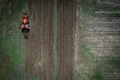 Kos Bahan Api 'Gila' Landa Ladang Kecil New York Akibat Konflik Timur Tengah