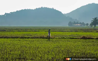 KPKM Rangka Langkah Tangani Risiko Krisis Tenaga Global Terhadap Sektor Pertanian
