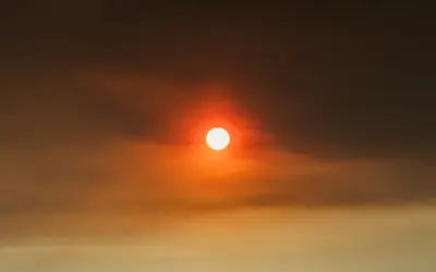 Panas melampau ancam sistem makanan global, amaran agensi PBB