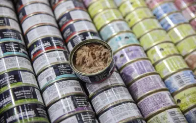 Pasaran Makanan Haiwan Peliharaan China RM115 Bilion Panas, Jenama Tempatan Cabar Pemain Global