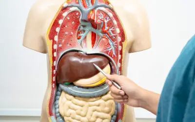 Penyakit Hati Berkaitan Gaya Hidup Diramal Jejas 1.8 Bilion Orang Menjelang 2050