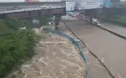Banjir Kilat Lumpuh Lalu Lintas, Pokok Tumbang Landa Lembah Klang Akibat Ribut Petir