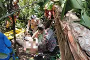 Bomba Sarawak Selamatkan Jurukur Kerajaan Tercedera Dihimpit Pokok Tumbang