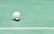 BWF Uji Coba Bulu Tangkis Sintetik Akibat Kekurangan Bulu Itik dan Angsa