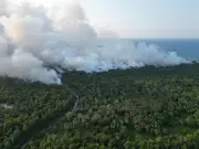 JAS buka siasatan kebakaran hutan gambut di Terengganu, amaran denda sehingga RM1 juta