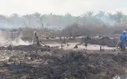Kebakaran Ladang Kelapa Sawit di Rompin Masih Belum Padam Selepas Dua Minggu