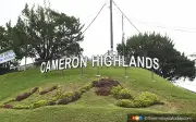 Kerajaan Pahang Wujudkan Hab Borong Sayur di Cameron Highlands