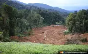 Peka Gesa Selangor Kuat Kuasa Moratorium Pembalakan 25 Tahun Bendung Banjir
