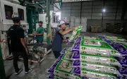 Pemborong Beras Diingatkan Ambil Stok Segera, Audit Dilakukan Atas Dakwaan Penyorokan