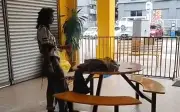 Polis Kejar Wanita Dalam Video Viral Didakwa Bunuh Anak Kucing Di Bandar Sunway