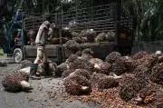 Teknologi Canggih Pacu Revolusi Bioenergi ke Arah Ekonomi Kitaran