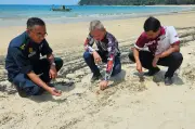Terengganu Arah Tindakan Tegas Terhadap Kapal Punca Tumpahan Minyak 3km di Pantai Teluk Kalong