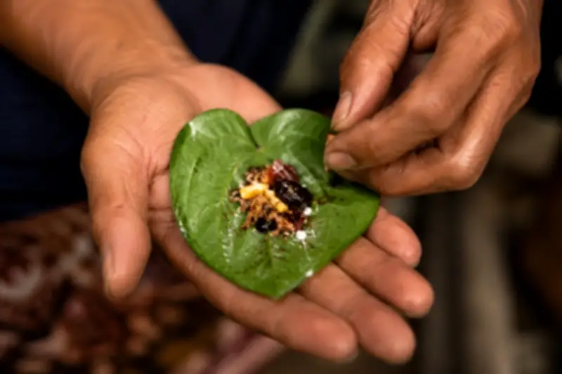 Adat makan sireh pudar dalam kalangan belia Orang Asli