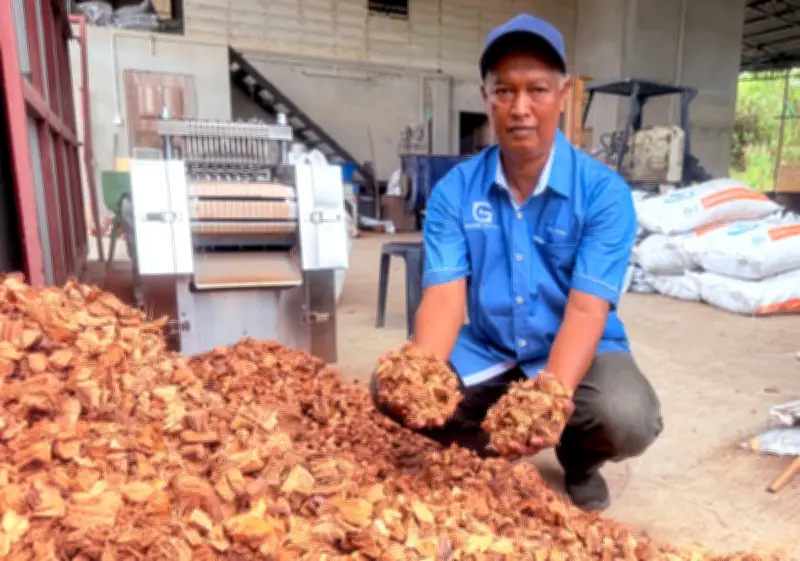Bersara tapi Berjaya: Tempurung Kelapa Jadi Emas, Hasil Lumayan