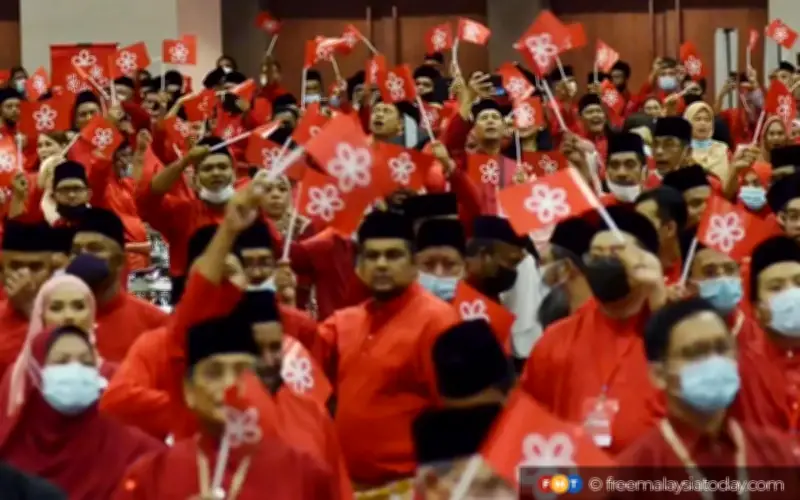 Bersatu ada 'magnet' tarik pengundi atas pagar, kata pemimpin