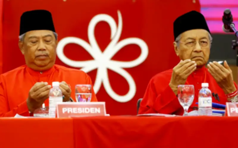 Bersatu hilang tarikan selepas perpecahan Muhyiddin-Mahathir, kata Puad