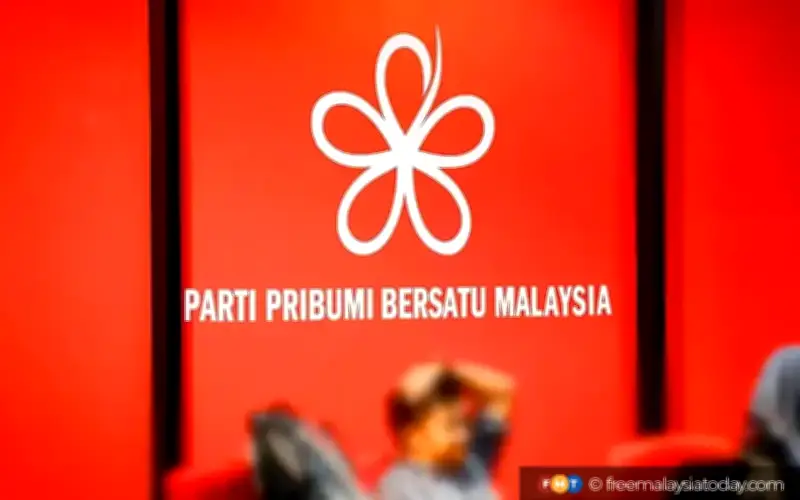 Bersatu Mungkin Stabil Tapi Berdepan Risiko Hilang Kepelbagaian, Kata Penganalisis
