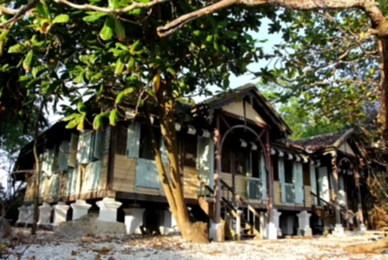 Dari rumah era perang ke pemuliharaan penyu: Hayati Mokhtar bina rumah eko di Pulau Perhentian