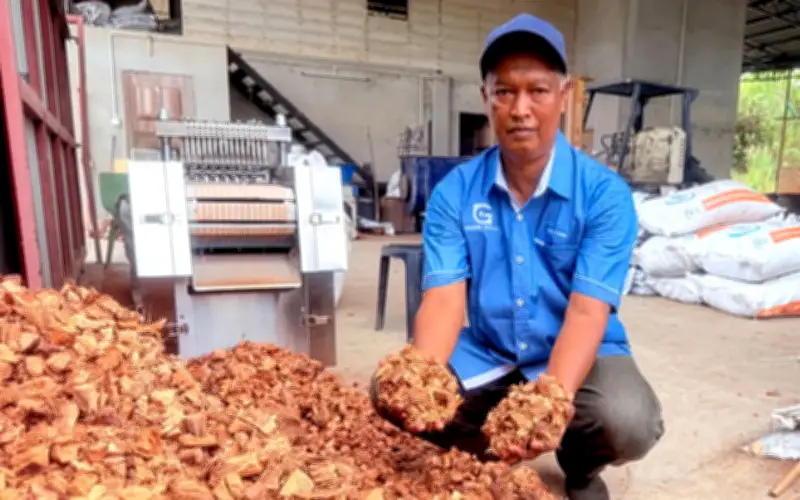Daripada sisa kepada emas kebun: Usaha sabut kelapa Wan Zamri