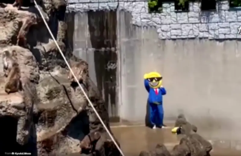 Dua warga AS ditahan di Jepun kerana masuk kandang monyet viral