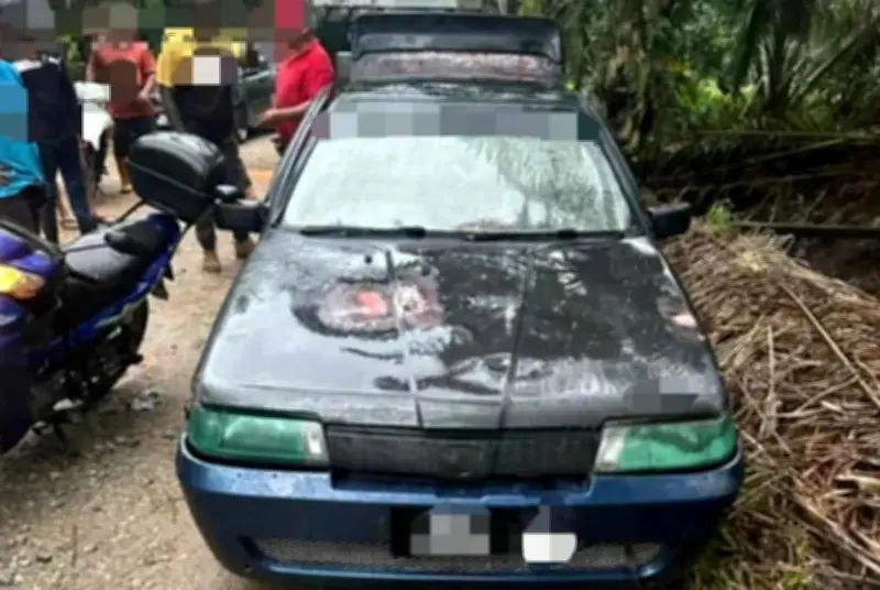 Empat lelaki ditahan kes curi buah kelapa sawit di Kanchong Darat