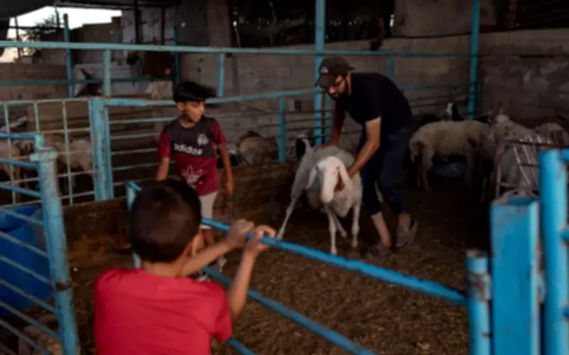 Hari Raya Haji di Gaza dibayangi keruntuhan ternakan, krisis semakin teruk