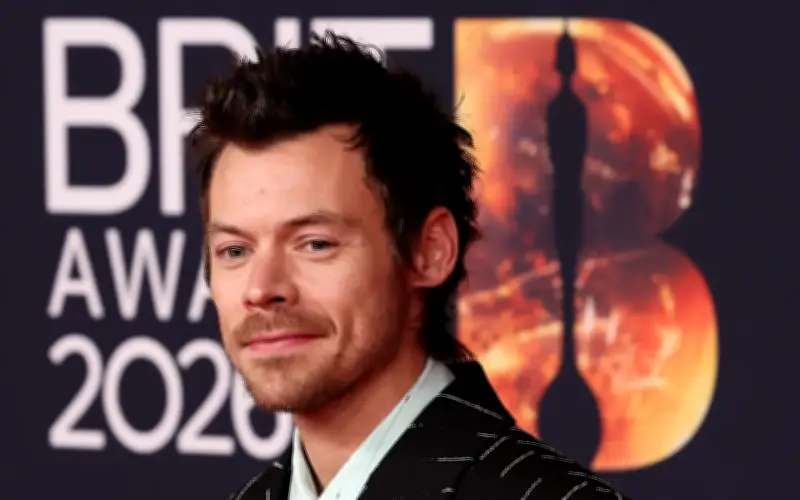 Harry Styles: Dari Idola Remaja ke Ikon Muzik