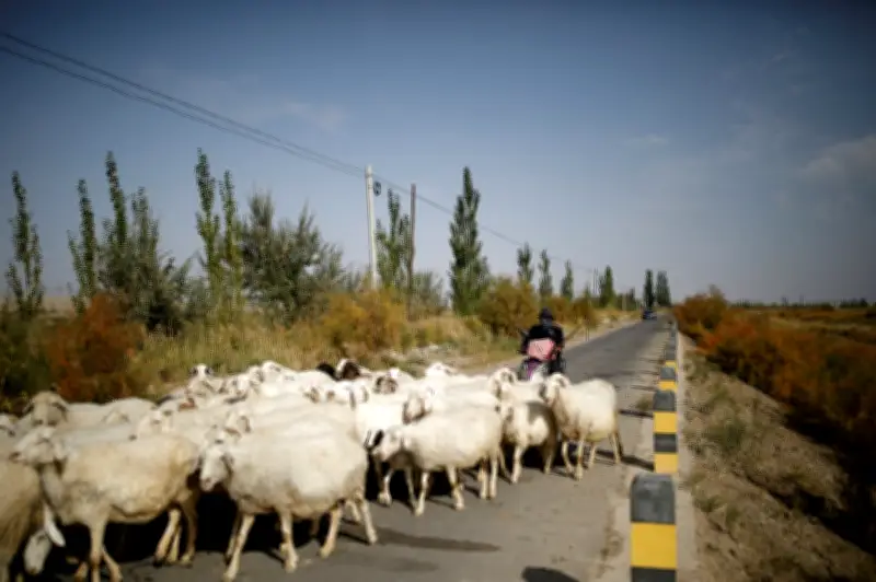 Iklan gembala kambing viral dedah budaya kerja kejam China
