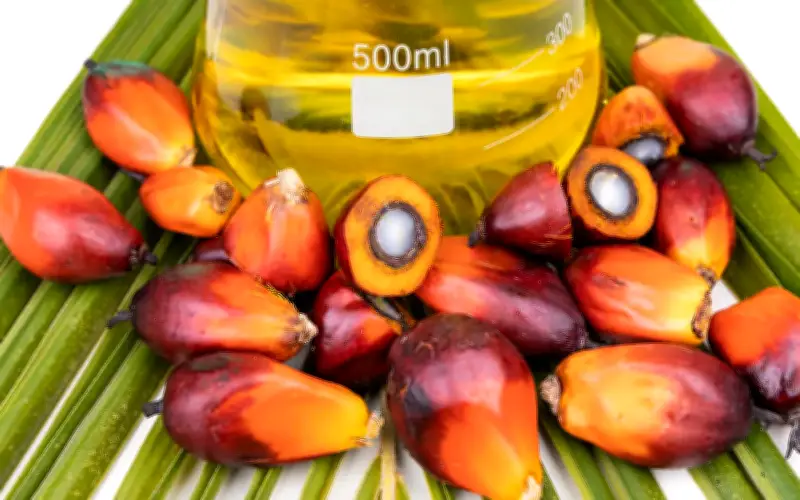 Import minyak sawit India jatuh ke paras terendah setahun pada April