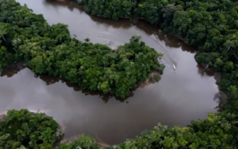 Jenayah terancam ancam hutan Amazon, serang kawasan perlindungan