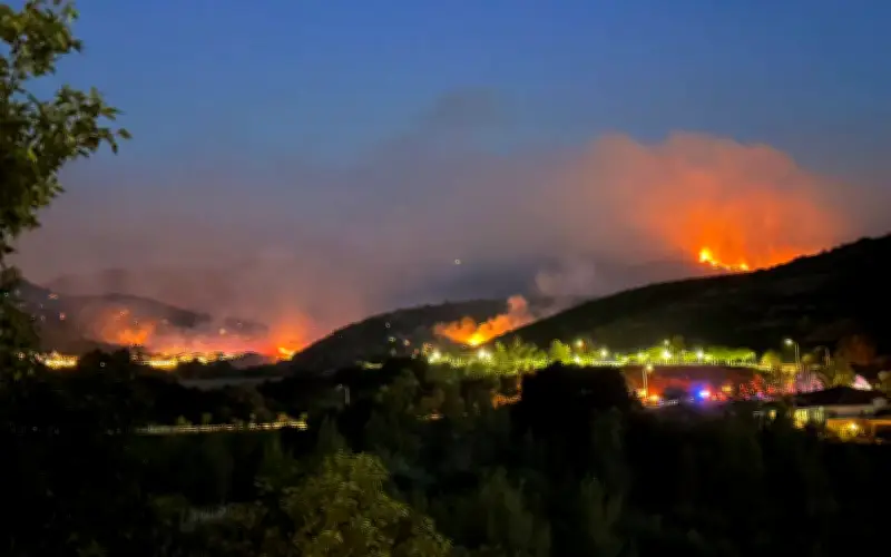 Kebakaran hutan di pinggir Los Angeles paksa ribuan penduduk berpindah