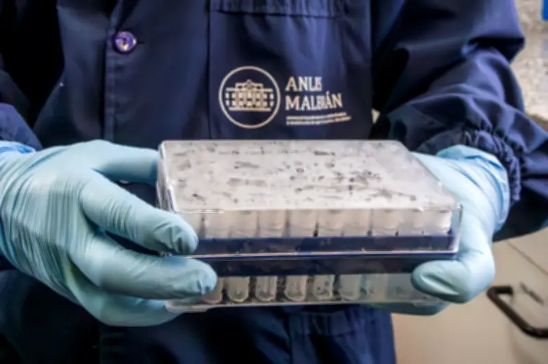 Ketakutan Hantavirus di Kapal Pesiar Ingatkan Wabak 'Super-Spreader' Argentina