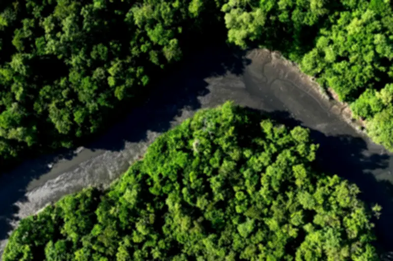 Kumpulan Jenayah Terancam Hutan Amazon