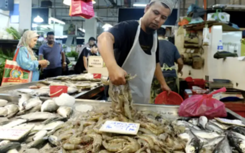 Malaysia ketatkan import siakap, sekat sementara lima spesies udang Thailand