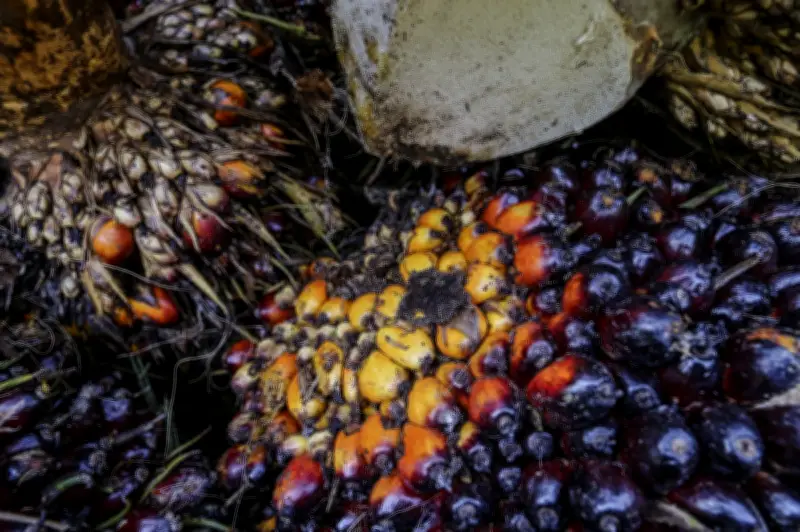 Pelaksanaan B15 biodiesel di Semenanjung mulai 1 Jun tingkatkan keselamatan tenaga