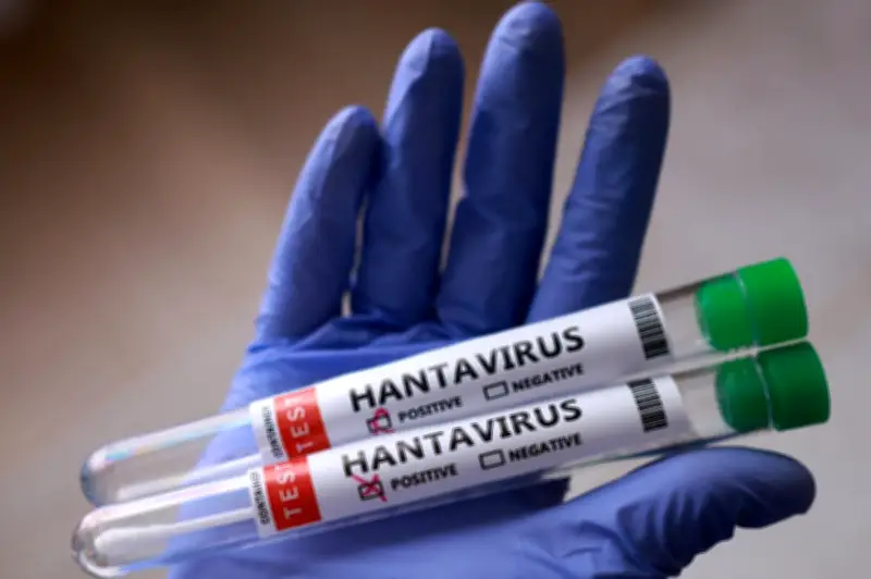 Penumpang kapal pesiar Kanada positif awal hantavirus Andes
